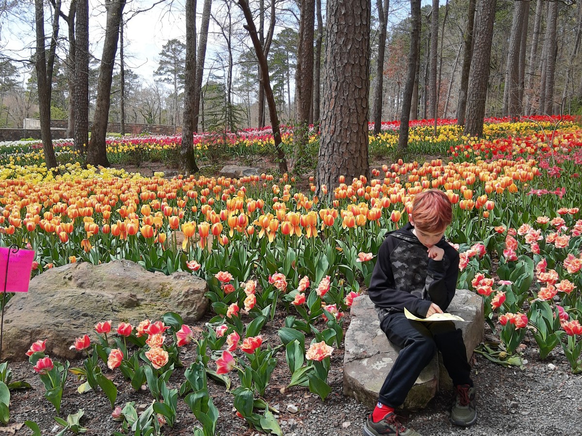 A Midwest SPRING BREAK Epic National Park Road&nbsp;Trip!